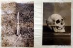 Tamoto c.1880 "Ainu Grave and Ainu Skull"
