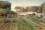 K Ogawa c.1880 "Farm Scene"